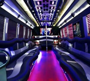 Mercedes Sprinter Limo (2)